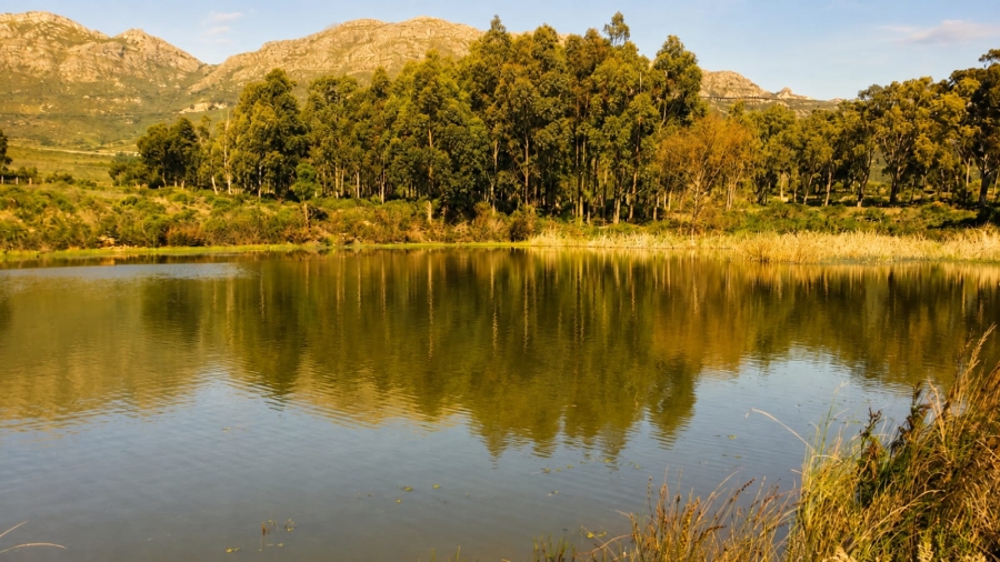 To Let  Bedroom Property for Rent in Sir Lowrys Pass Village Western Cape